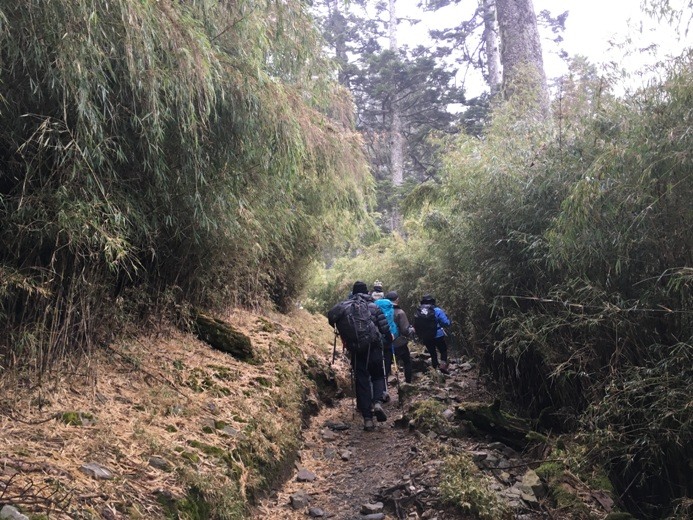新手入門百岳-挑戰3952玉山主峰!