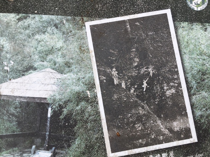 新手入門百岳-挑戰3952玉山主峰!