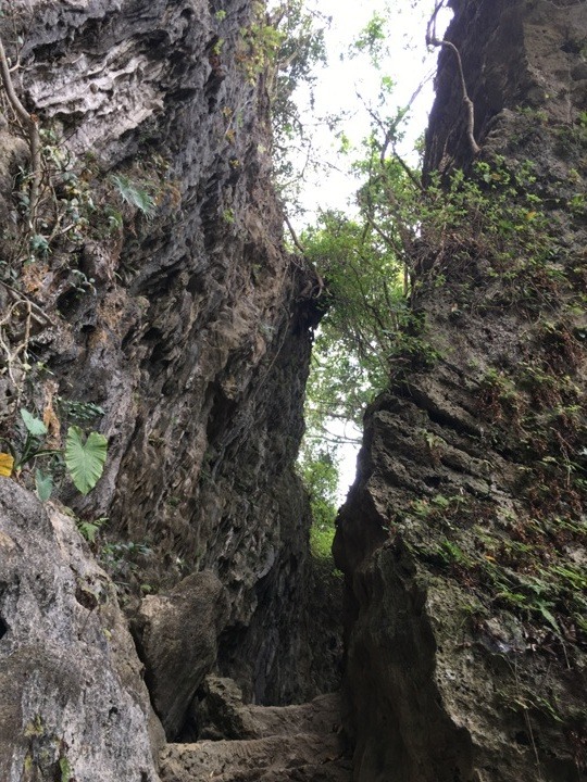 騎 車 到 月 球 ( 燕 巢、田 寮 )