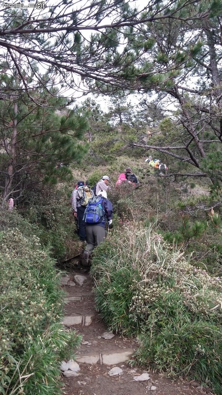 合歡山北峰~合歡山西峰~華岡