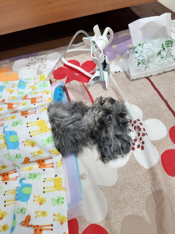 回憶錄 ~小該 [記憶混亂想到就寫]