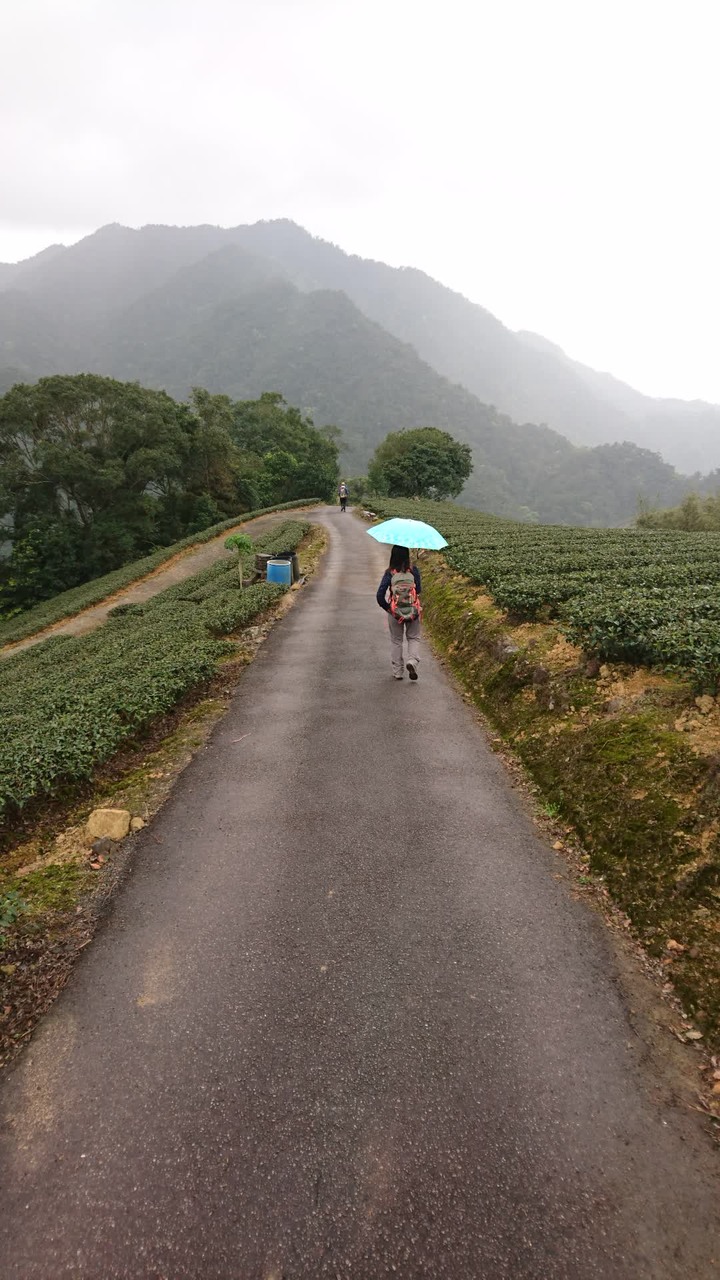 [樂山童盟] [新北坪林] 開眼崙登山步道