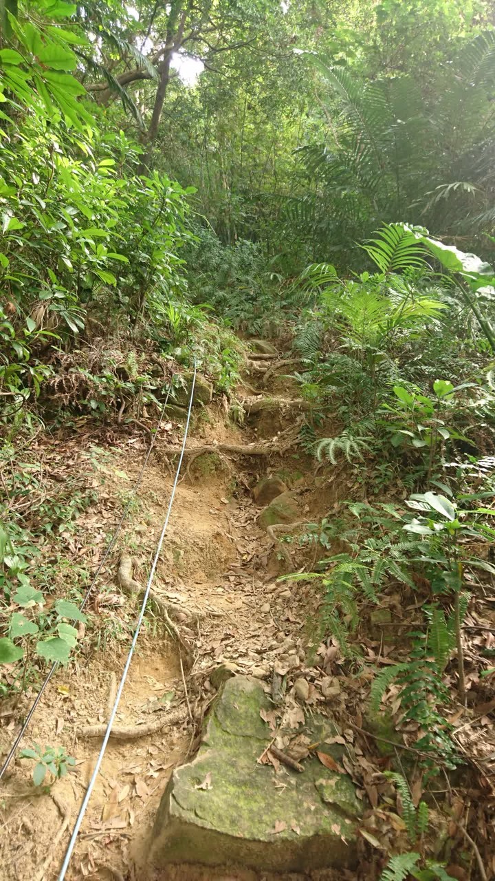 [樂山童盟] [台北中山] 劍潭山親山步道(圓山水神社-劍潭山-劍潭山中山北路登山口)