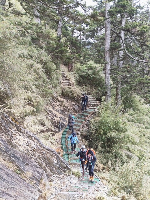 新手入門百岳-挑戰3952玉山主峰!
