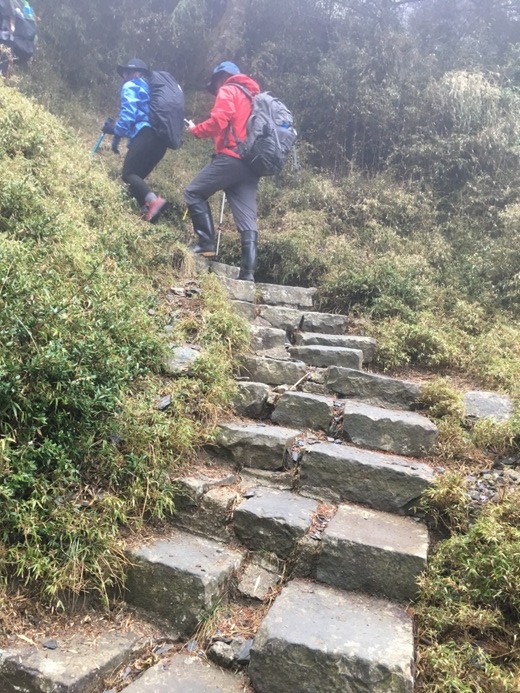 新手入門百岳-挑戰3952玉山主峰!
