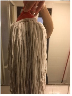 教你各位如何快速COS劍與遠征中的防疫大使弗克斯