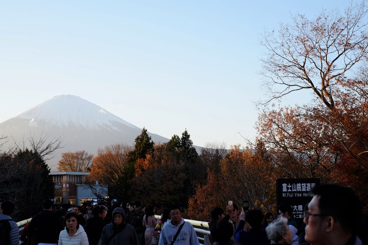 2019年臘月，東京行(圖多)