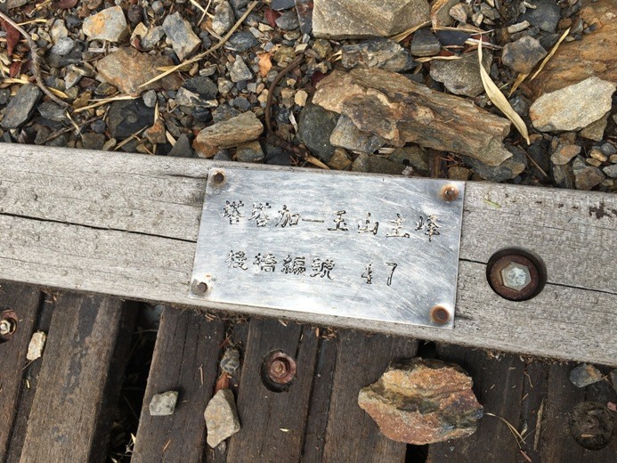 新手入門百岳-挑戰3952玉山主峰!