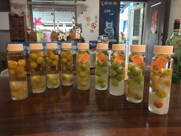 花蓮富里春採青梅 / 梅好的一天．音樂手作市集