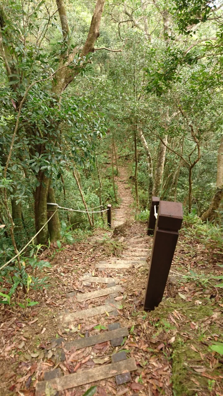 [樂山童盟] [新北坪林] 開眼崙登山步道