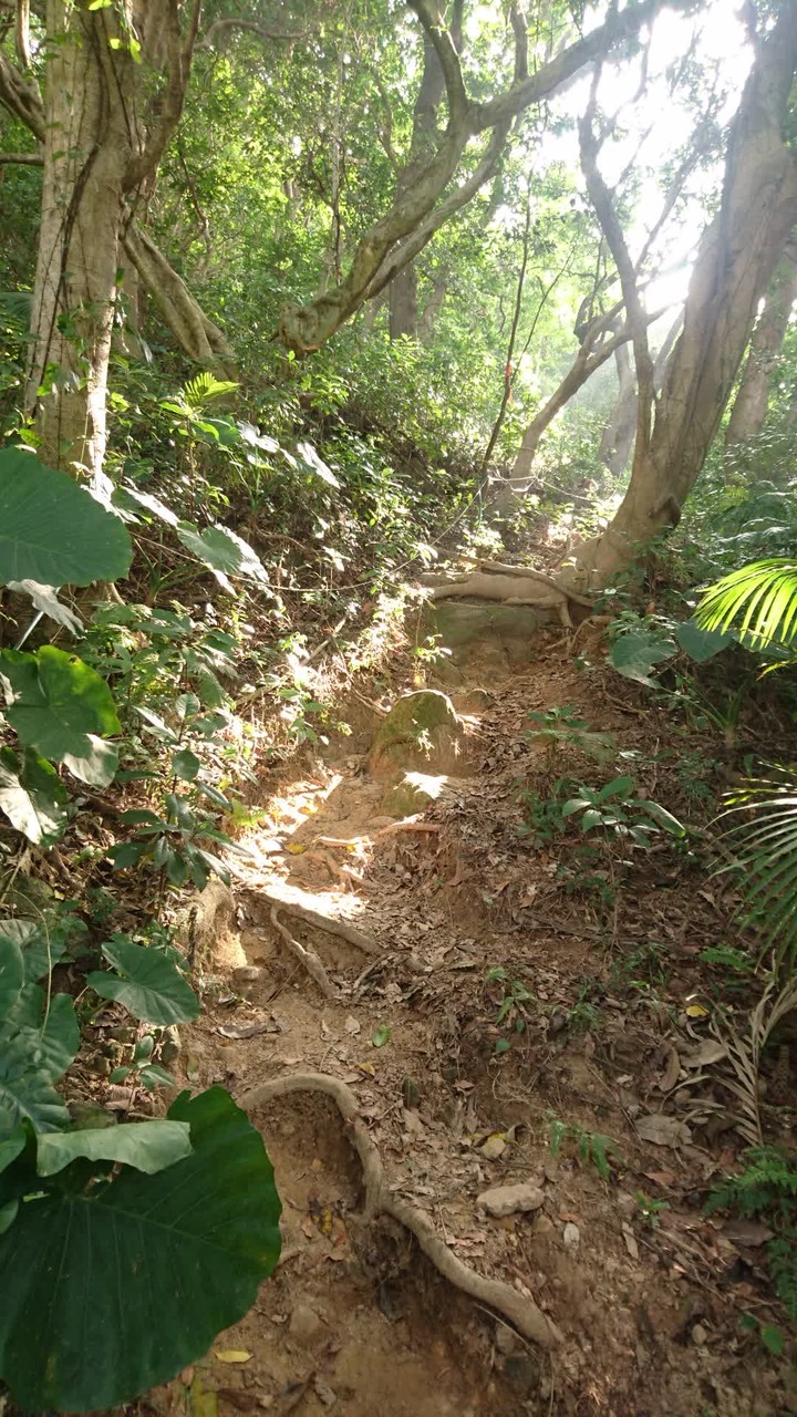 [樂山童盟] [台北中山] 劍潭山親山步道(圓山水神社-劍潭山-劍潭山中山北路登山口)