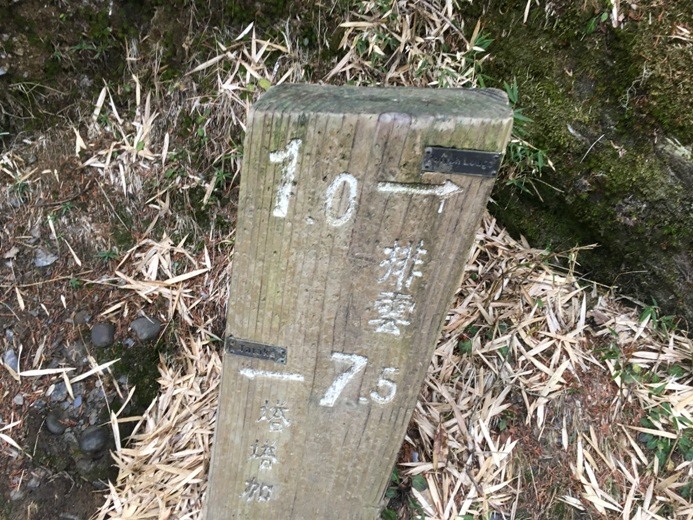 新手入門百岳-挑戰3952玉山主峰!
