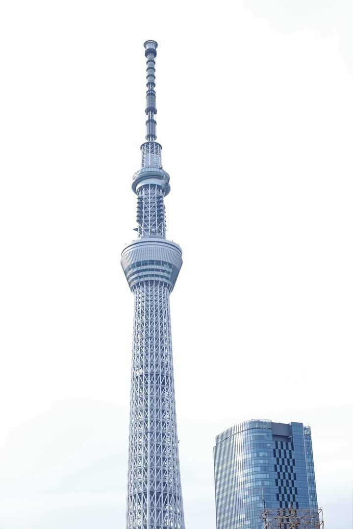 2019年臘月，東京行(圖多)