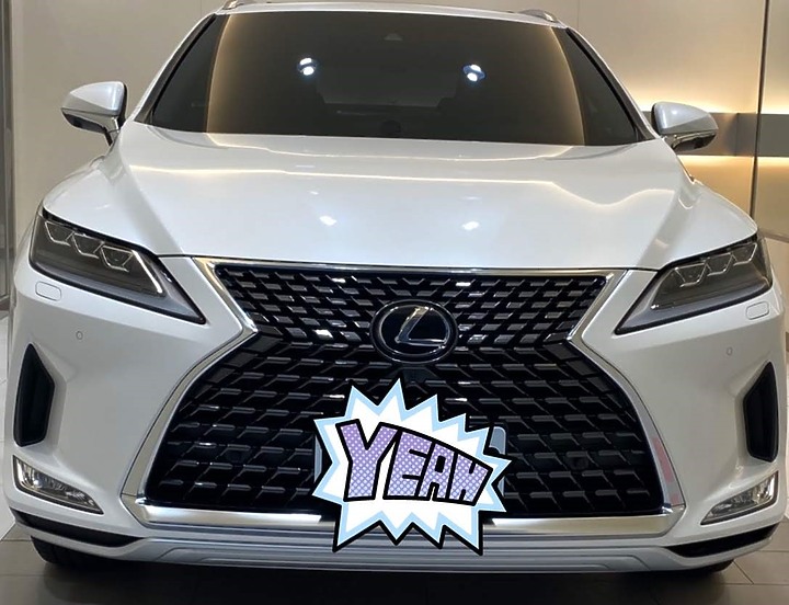 2020 4.5代 RX 300頂級版 (這輩子沒想過的開箱)(為何不選雙B及VOLVO)