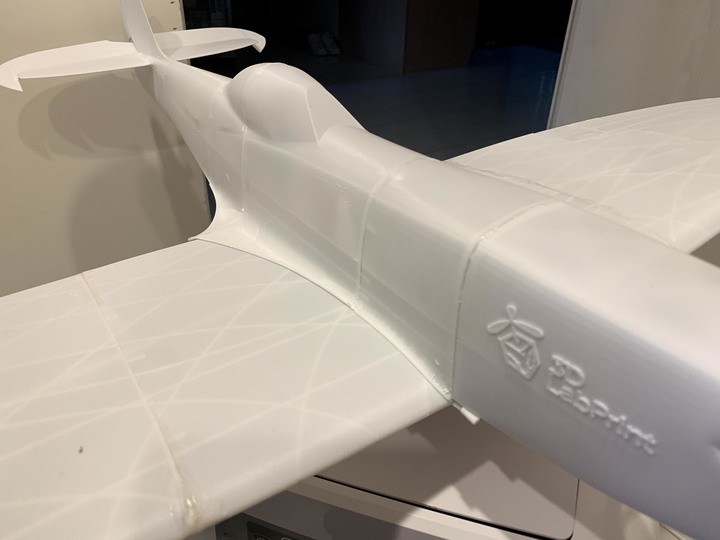 3D列印遙控飛機 2020-03-17 試飛成功