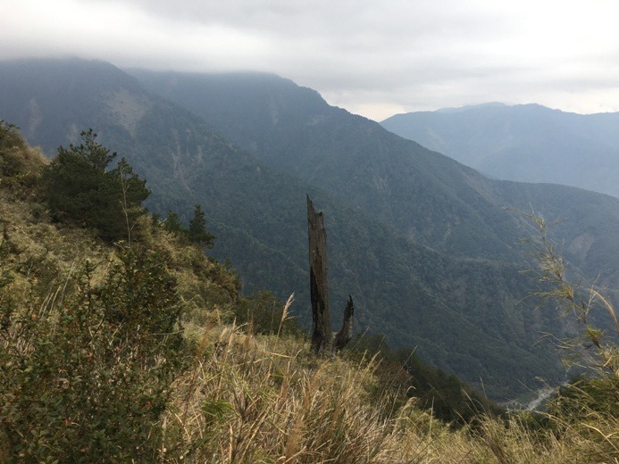新手入門百岳-挑戰3952玉山主峰!