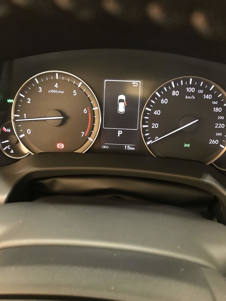 2020 4.5代 RX 300頂級版 (這輩子沒想過的開箱)(為何不選雙B及VOLVO)