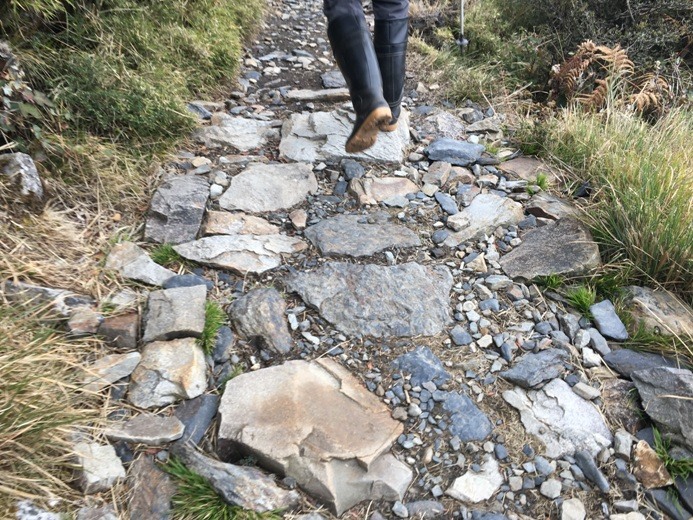 新手入門百岳-挑戰3952玉山主峰!