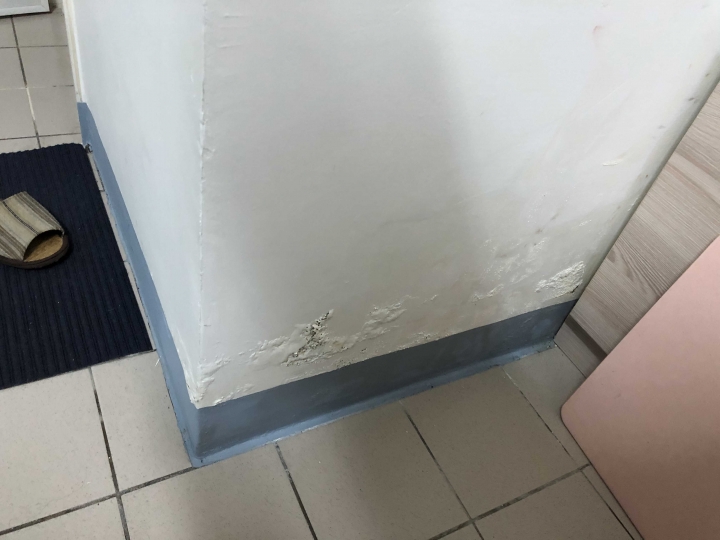 小透天漏水查不出原因，請版上大神們支援