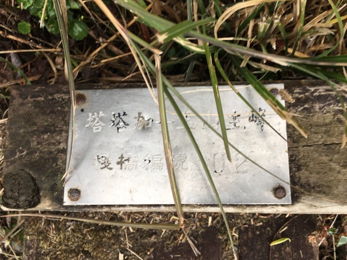 新手入門百岳-挑戰3952玉山主峰!