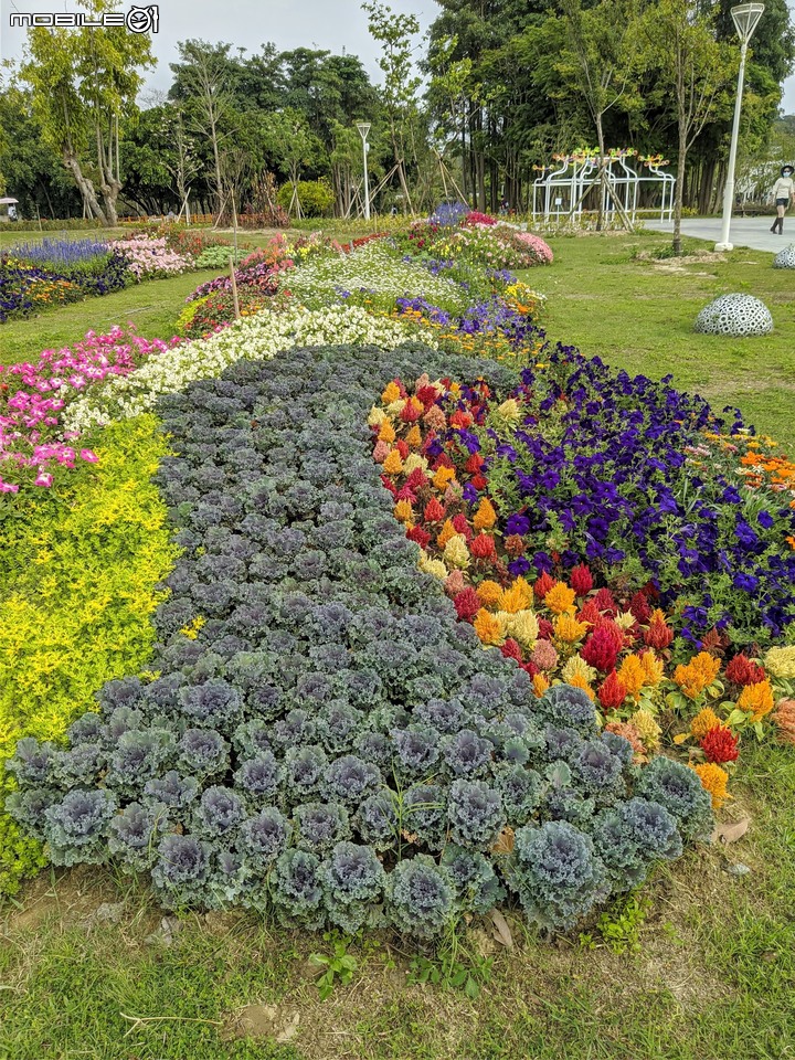 花旗木+蔥花 台南市山上區水道博物館 03/29