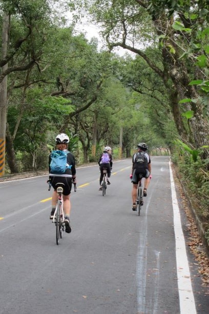 把單車騎進故事裡-遺忘在濁水的林鐵上