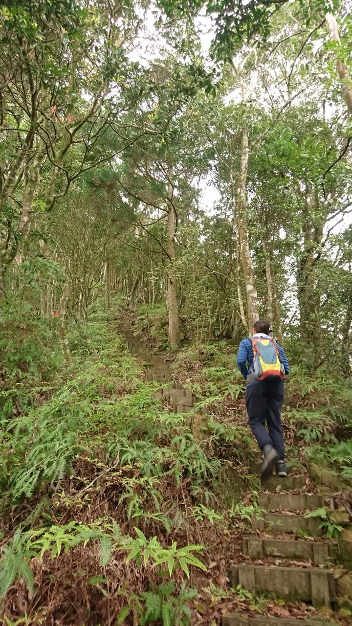 [樂山童盟] [新北坪林] 開眼崙登山步道