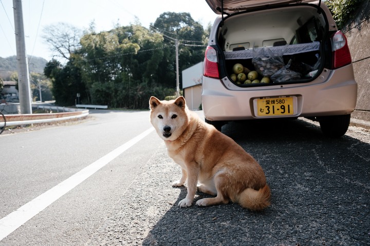 《XT3》瀨戶內島波海道單車旅行