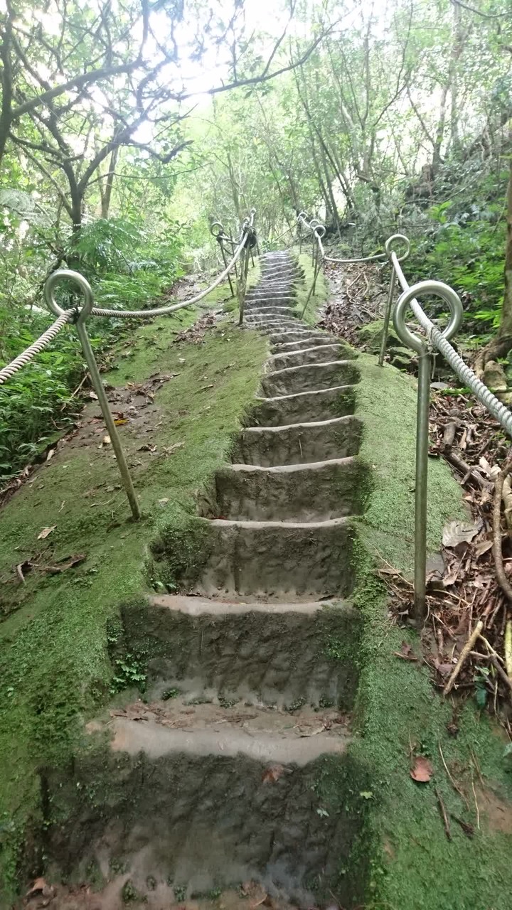 [樂山童盟] [新北平溪] 孝子山登山步道(孝子山-慈母峰-普陀山)~這山~真陡啊!