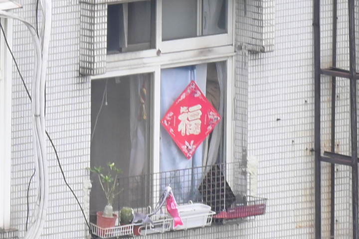 Nikon 70-200mm f/2.8 S 銳利非常 N家望遠代表作 還有與小黑七的人像比較