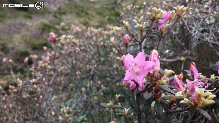 合歡山北峰~合歡山西峰~華岡