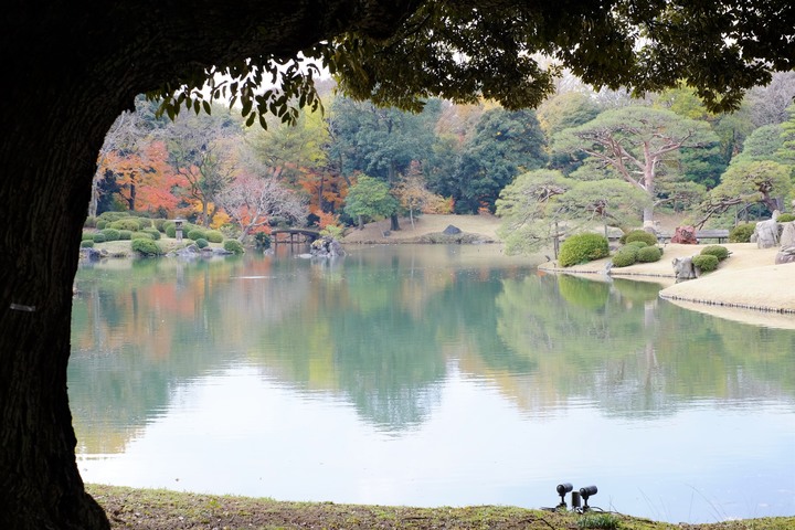 2019年臘月，東京行(圖多)