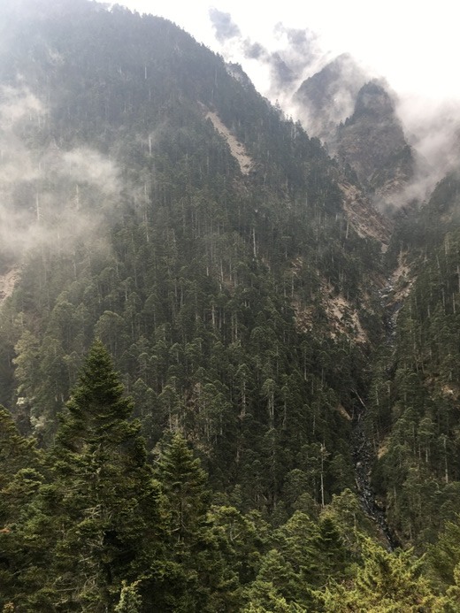 新手入門百岳-挑戰3952玉山主峰!