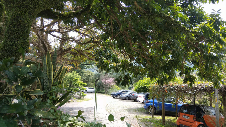 北海岸假日悠閒吃飯遛小孩 - 淡水石牆仔內自家烘焙咖啡鄉土料理