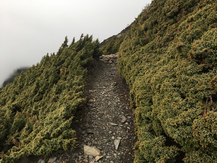 新手入門百岳-挑戰3952玉山主峰!