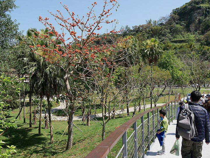 永春陂生態濕地公園