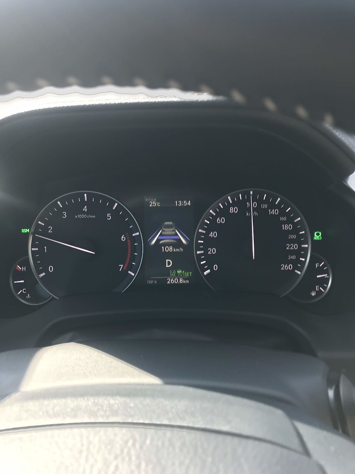 2020 4.5代 RX 300頂級版 (這輩子沒想過的開箱)(為何不選雙B及VOLVO)