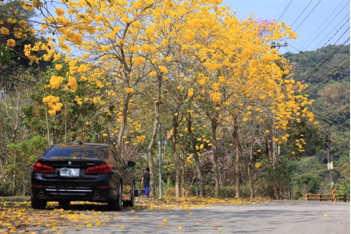 G30 與花共舞～