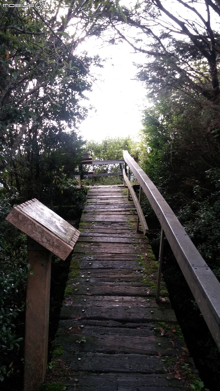 合歡山北峰~合歡山西峰~華岡