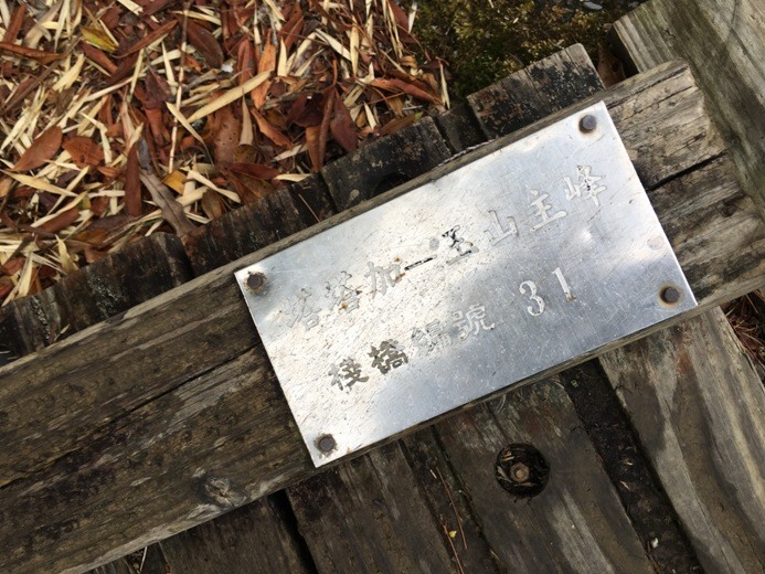 新手入門百岳-挑戰3952玉山主峰!