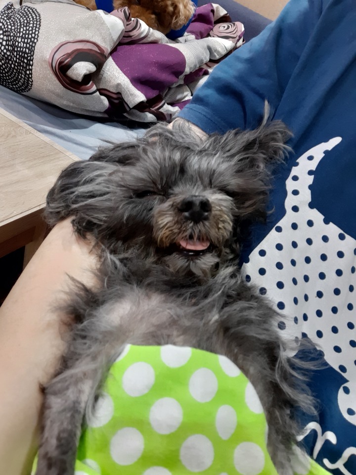 回憶錄 ~小該 [記憶混亂想到就寫]