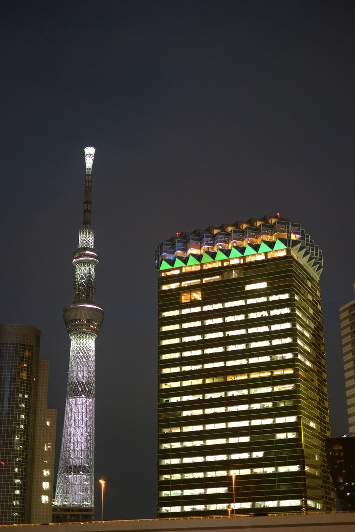 2019年臘月，東京行(圖多)