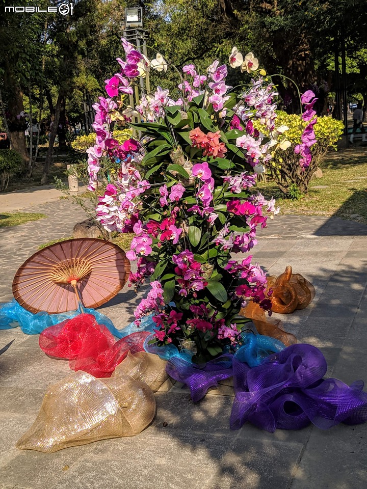 蘭花(蘭展延期之遍地開花) 台南市麻豆區南勢里總爺藝文中心 03/07