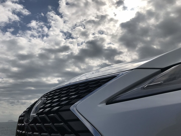 2020 4.5代 RX 300頂級版 (這輩子沒想過的開箱)(為何不選雙B及VOLVO)