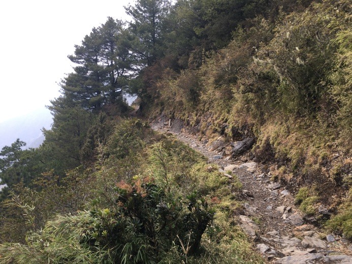 新手入門百岳-挑戰3952玉山主峰!