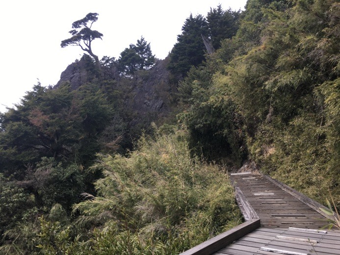 新手入門百岳-挑戰3952玉山主峰!
