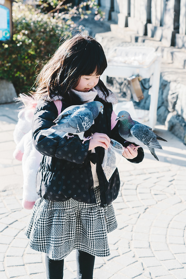 一別六年 [Sony A7R3]