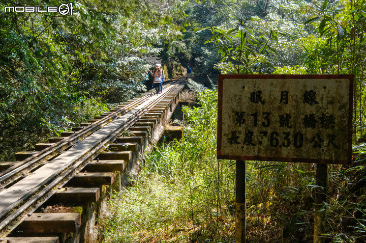 阿里山眠月線  大叔行不行