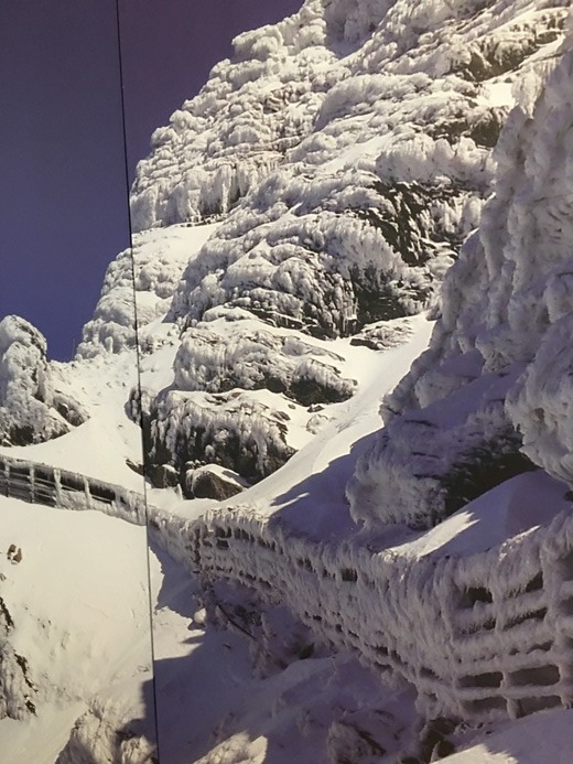 新手入門百岳-挑戰3952玉山主峰!