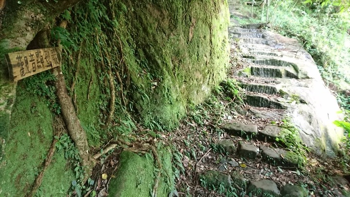 [樂山童盟] [新北平溪] 孝子山登山步道(孝子山-慈母峰-普陀山)~這山~真陡啊!